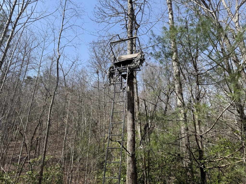 Picture 12