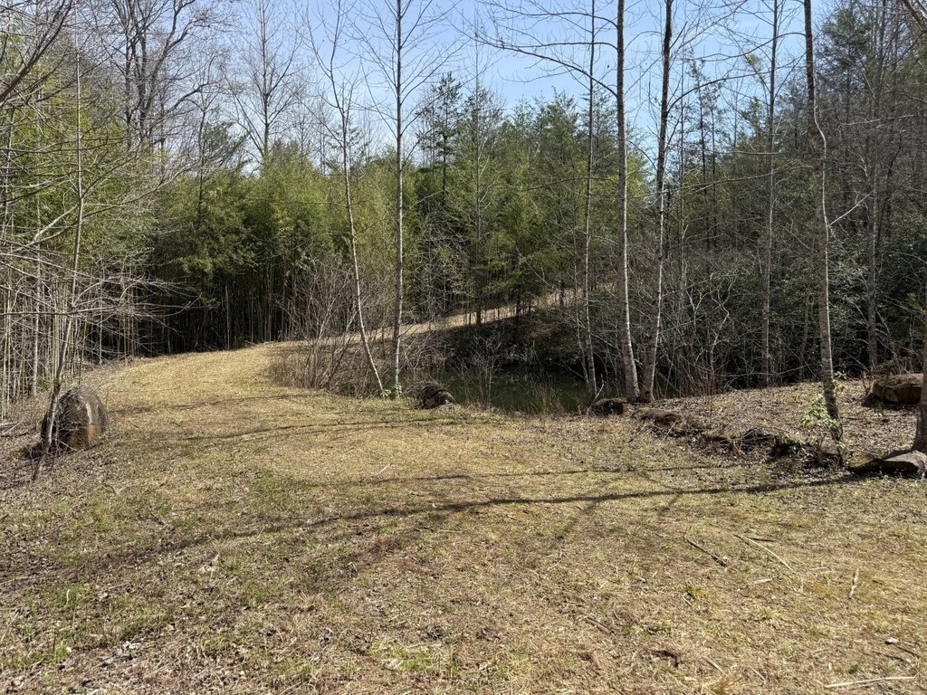 Picture 7