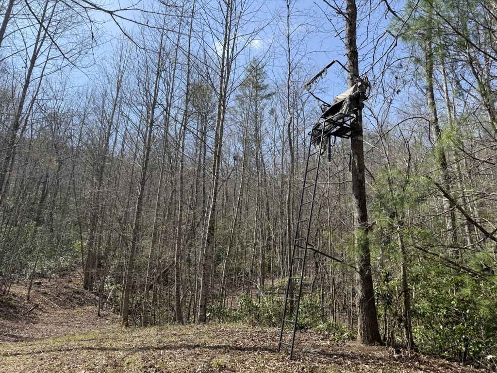 Picture 11