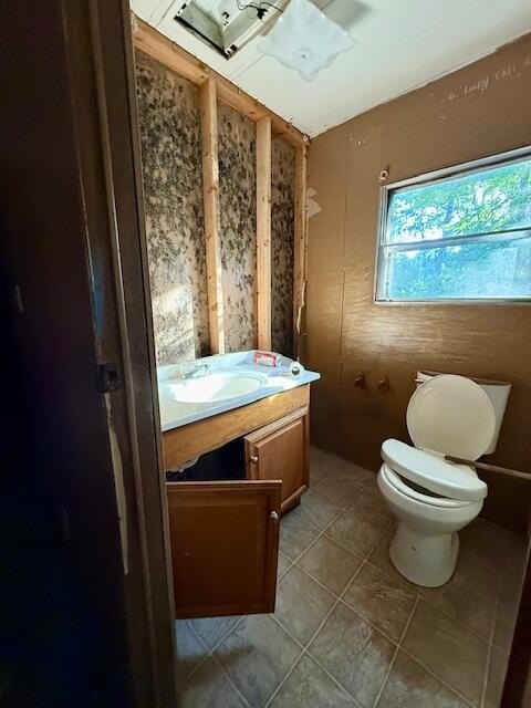 Picture 29