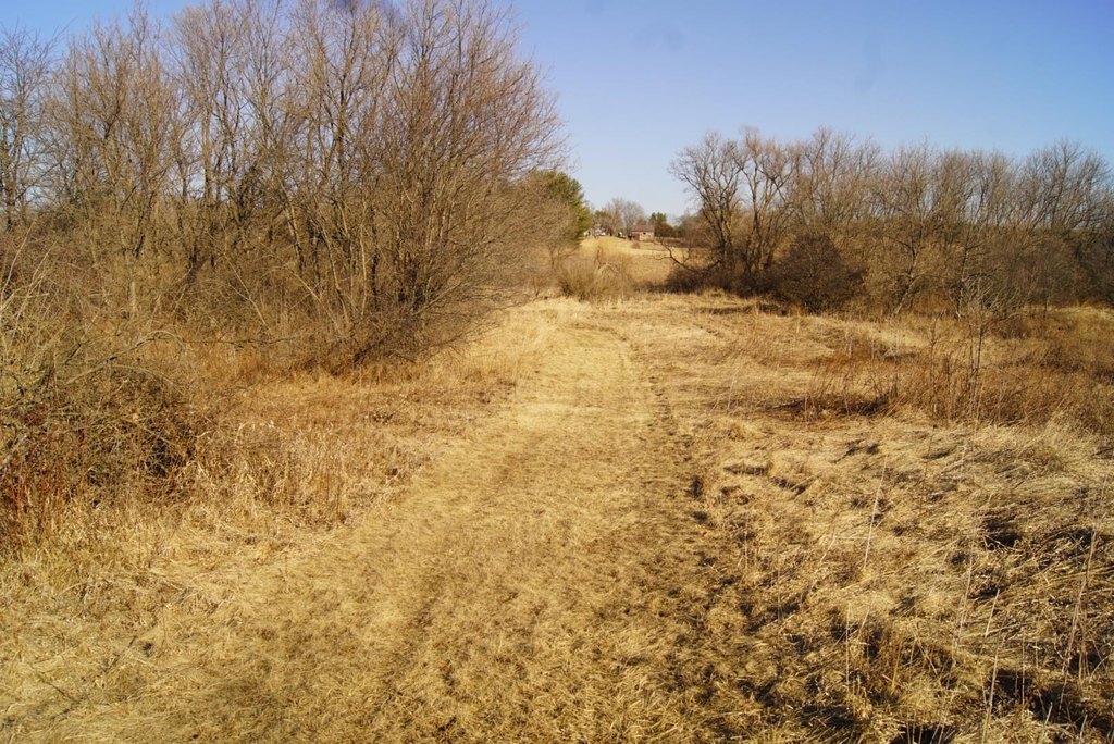 Picture 34