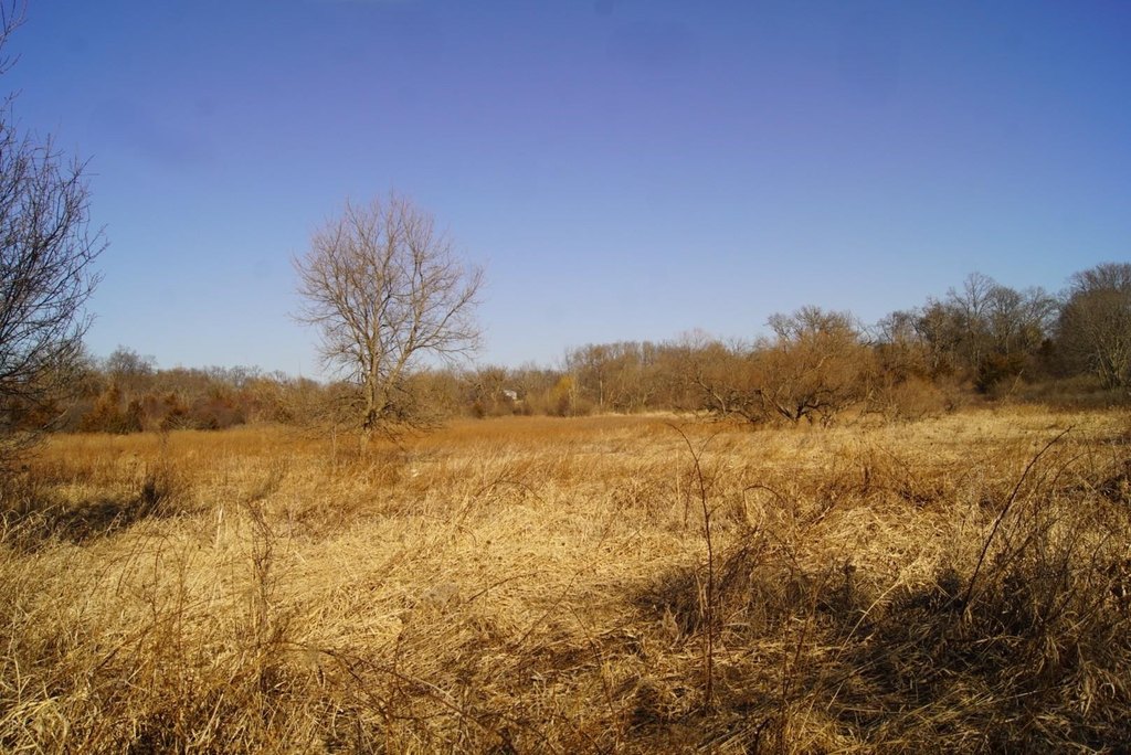 Picture 29