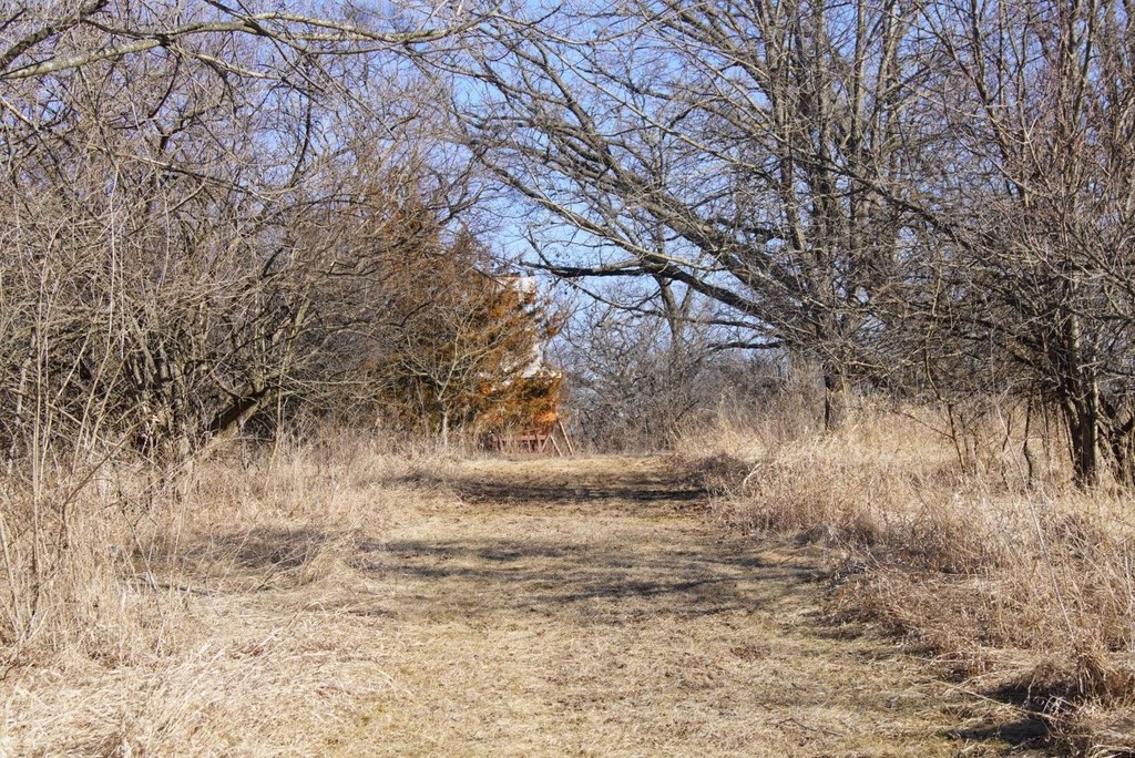 Picture 36