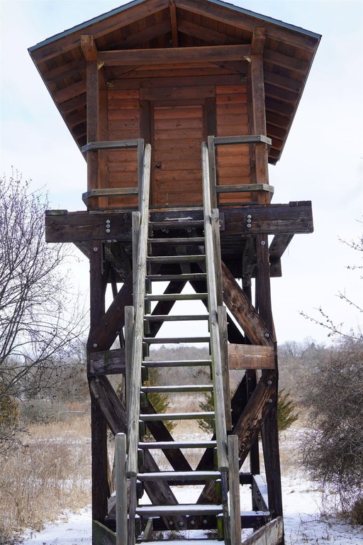 Picture 28