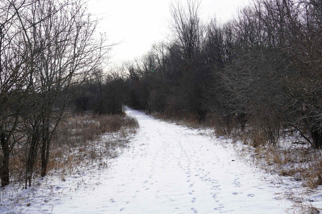Picture 35