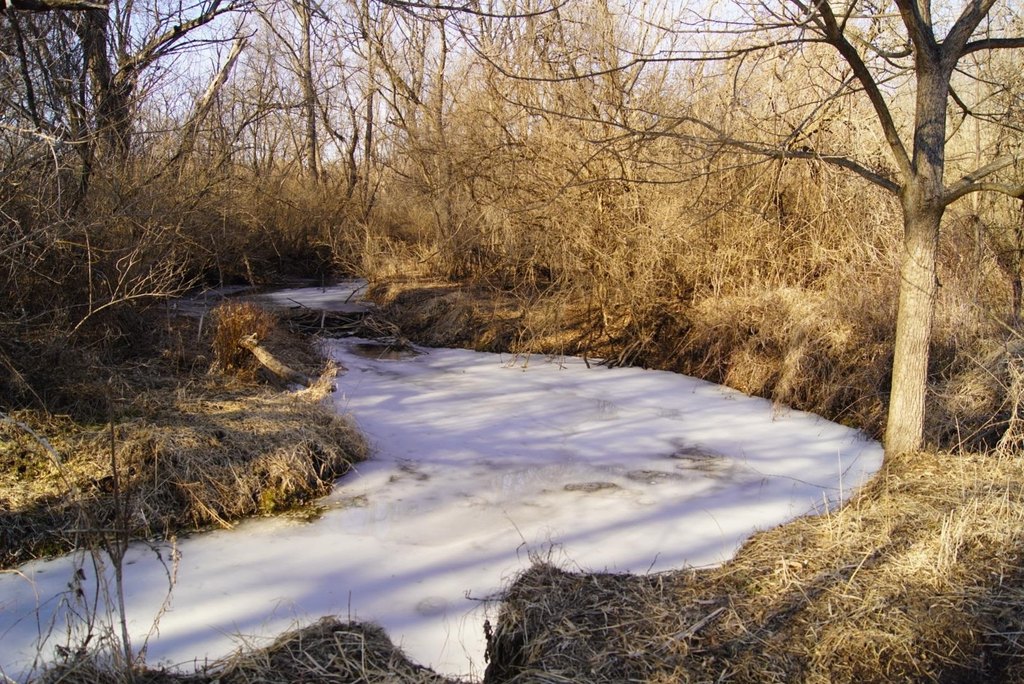 Picture 26