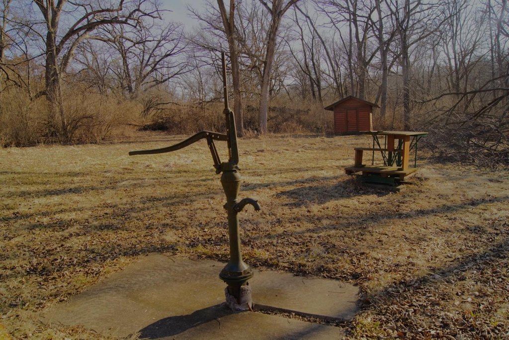 Picture 24