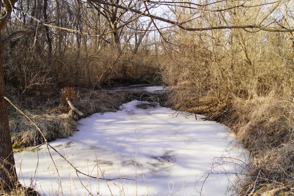 Picture 25