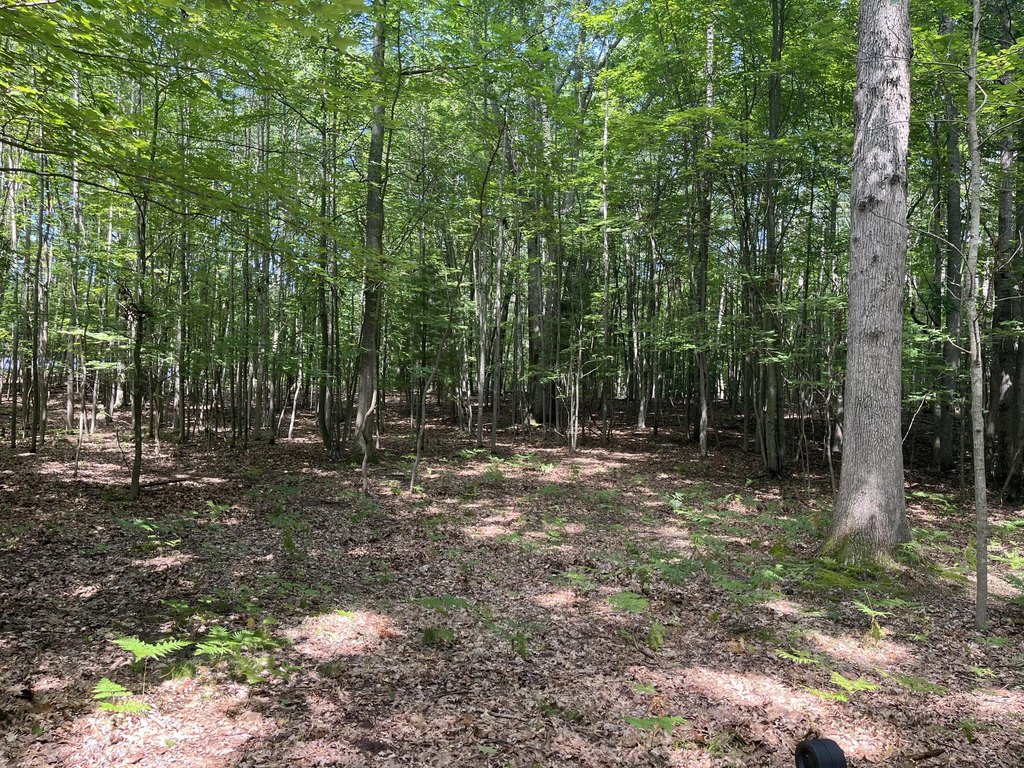 Picture 16