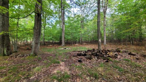 LAND - Pentwater, MI