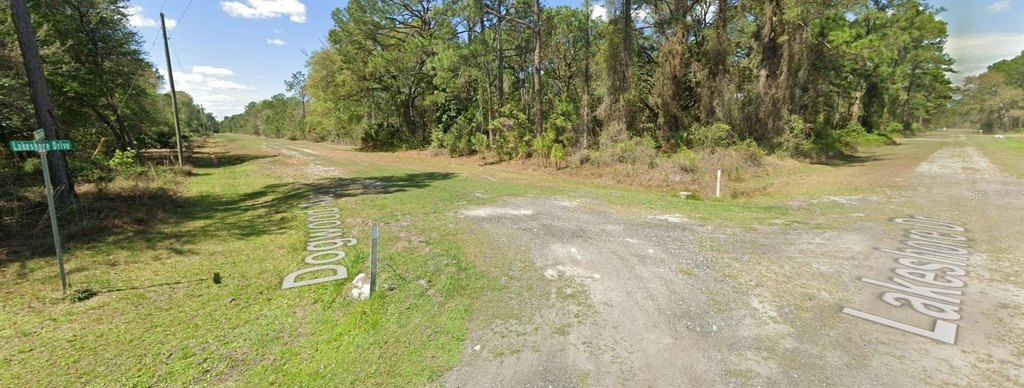 Picture 6