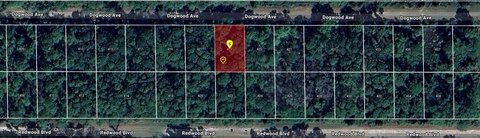 Land, GEORGETOWN, FL