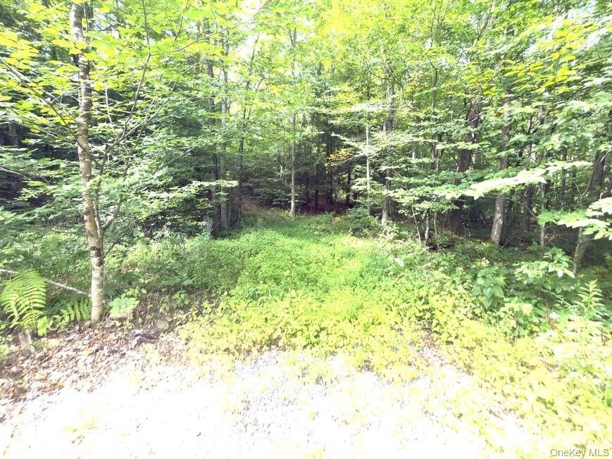 Picture 18