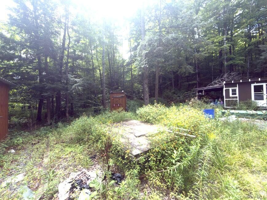 Picture 39