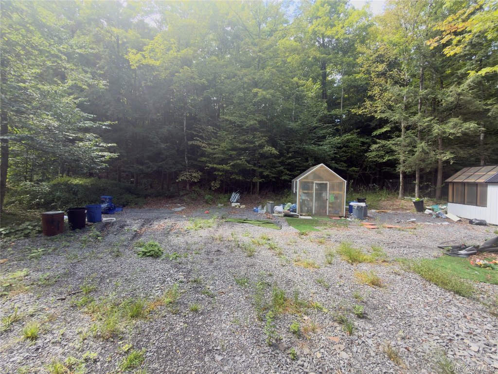 Picture 3
