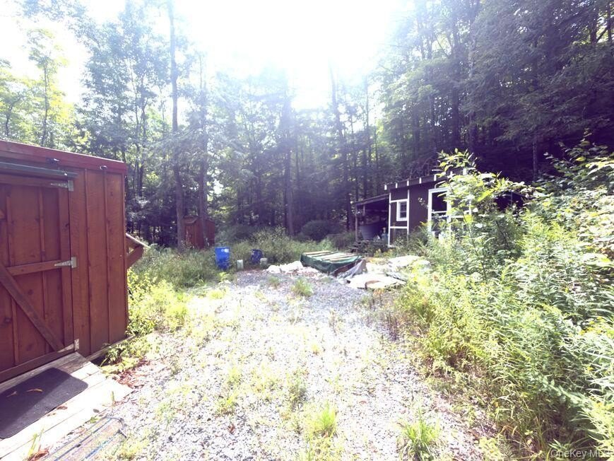 Picture 22