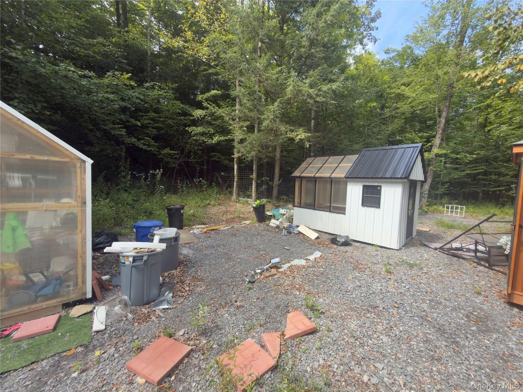 Picture 5