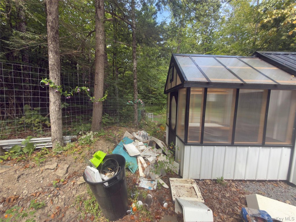 Picture 11