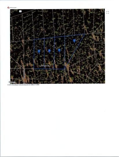 Picture 15