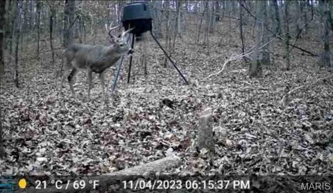 Affordable Hunting Land Near Highway
