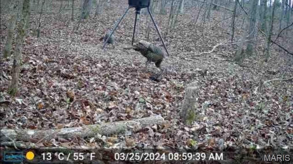 Picture 2