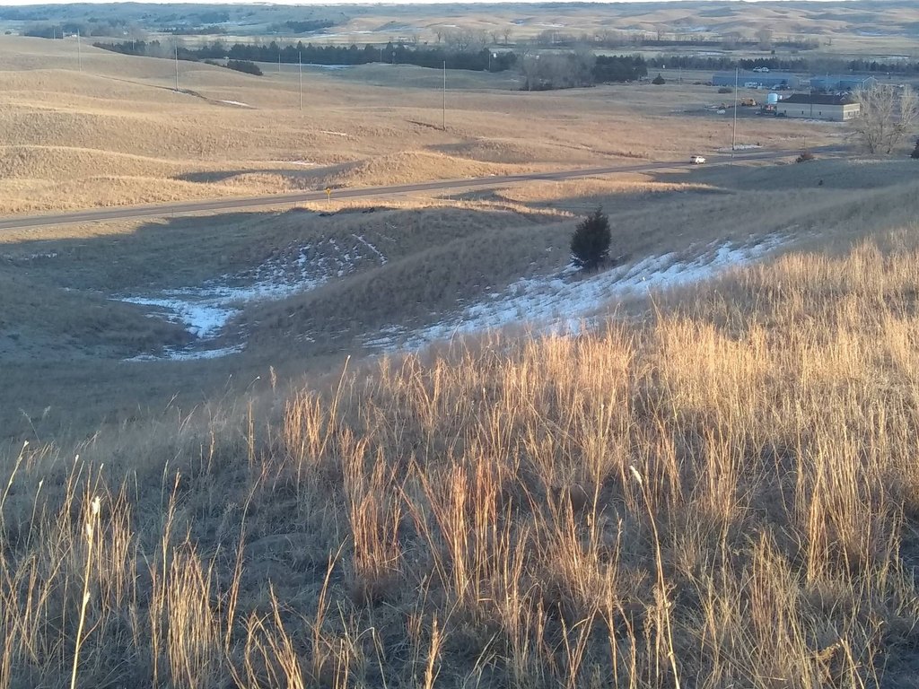 Picture 6