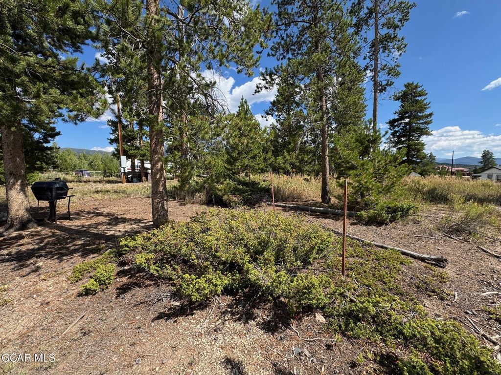 Picture 48