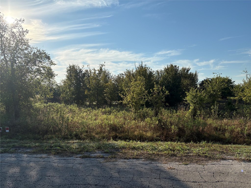 Picture 5