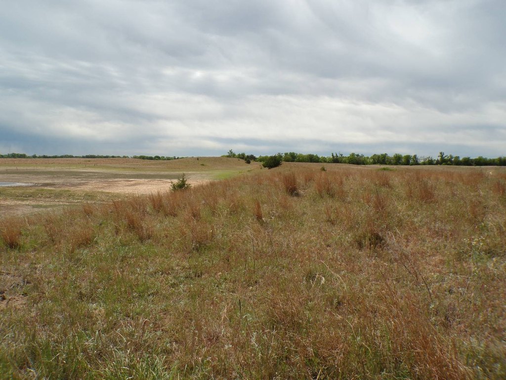 Picture 36