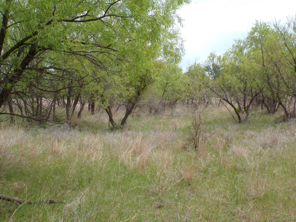 Picture 26