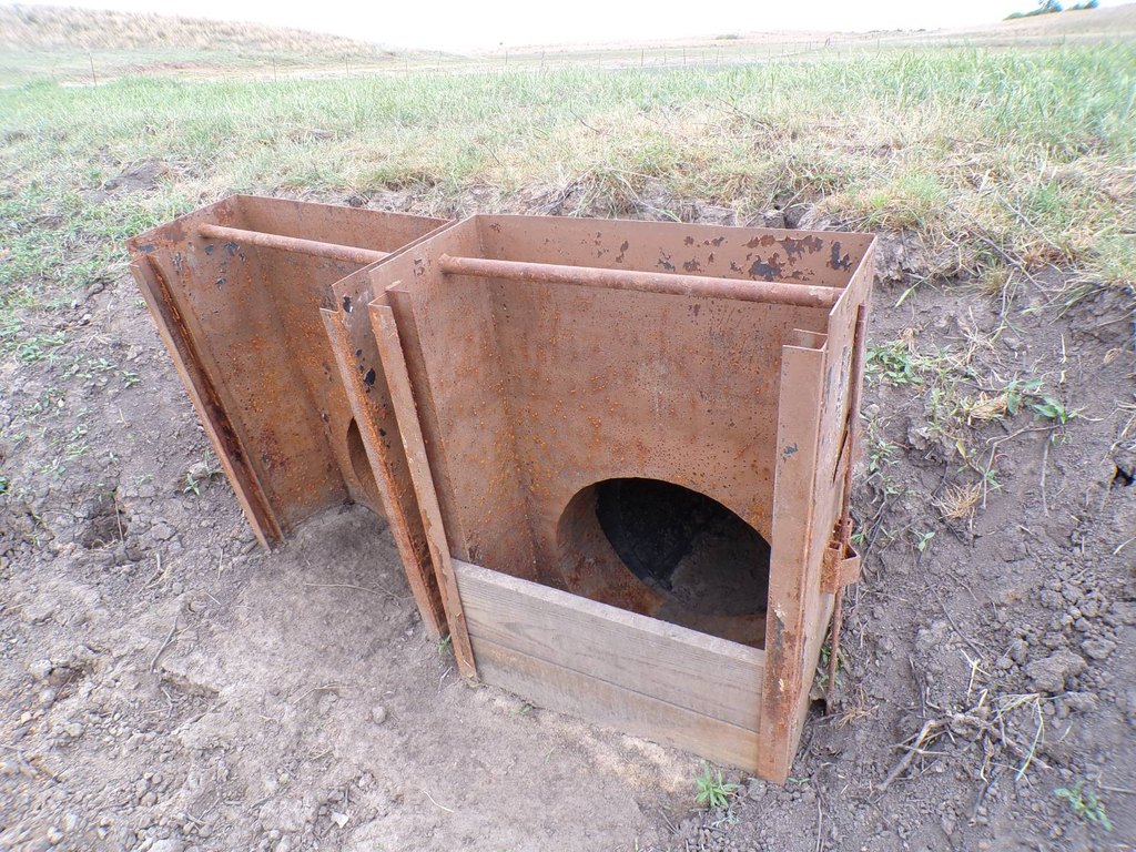 Picture 14