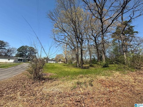LAND - FAIRFIELD, AL