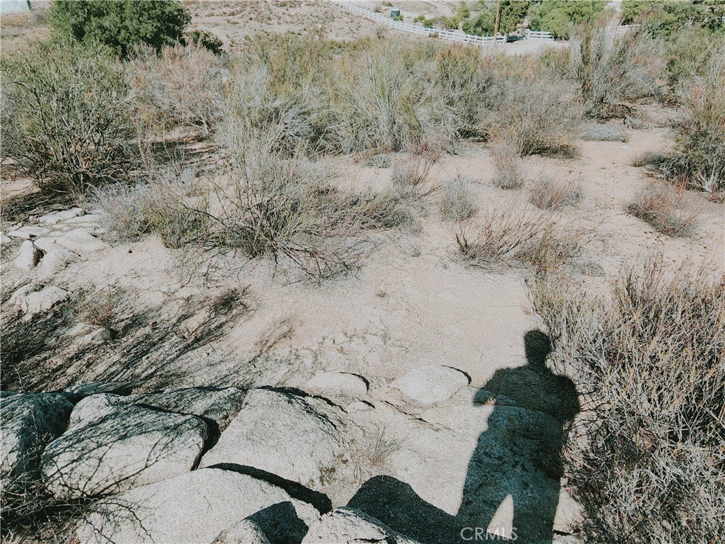 Picture 24