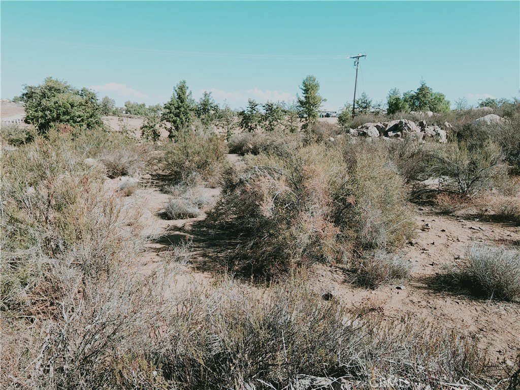 Picture 9