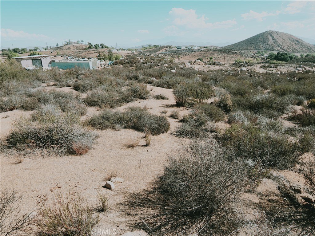Picture 17