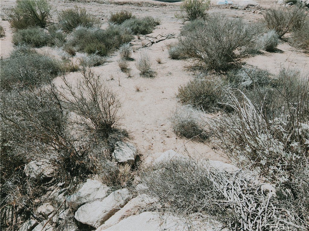 Picture 14