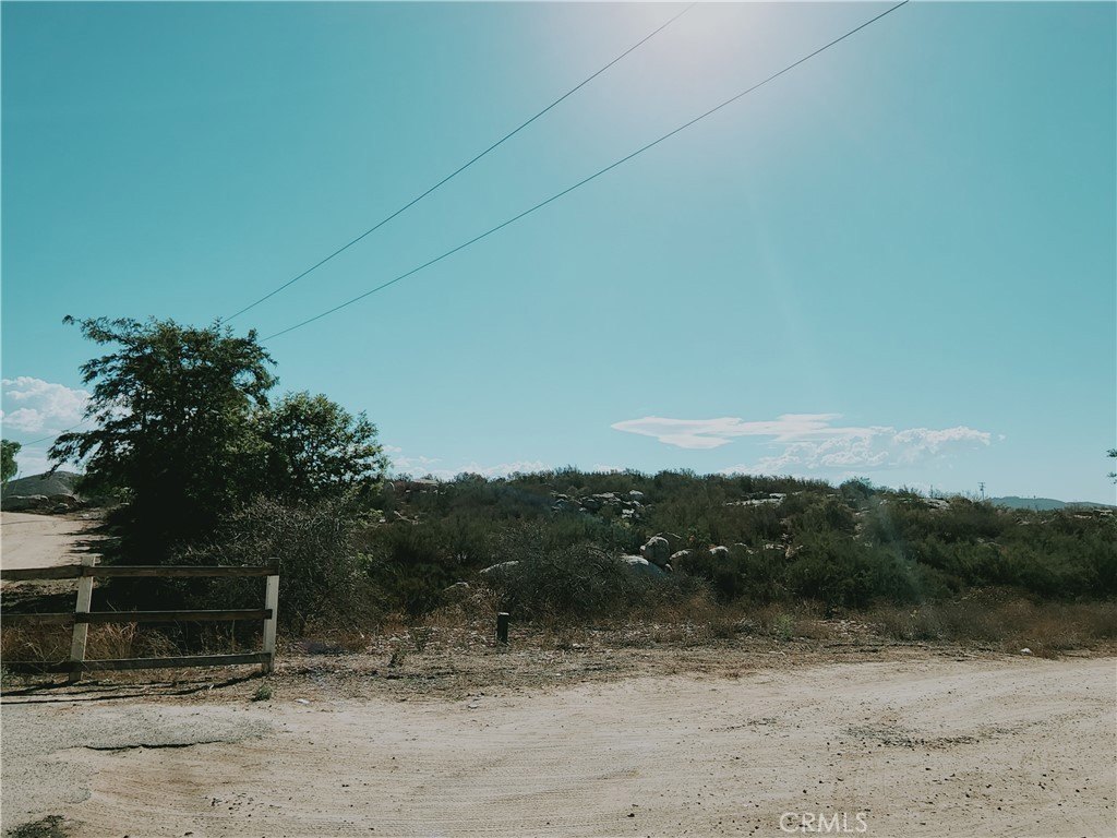 Picture 6