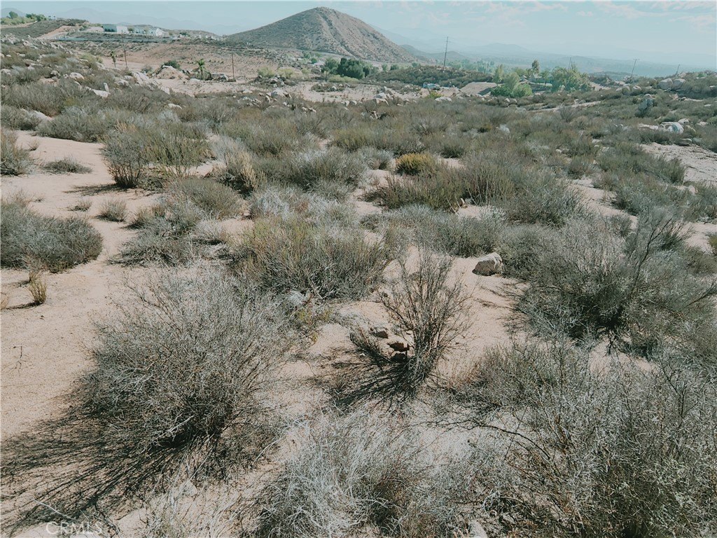 Picture 13