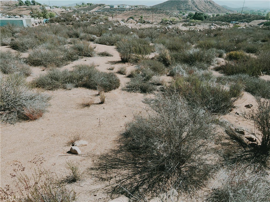 Picture 23