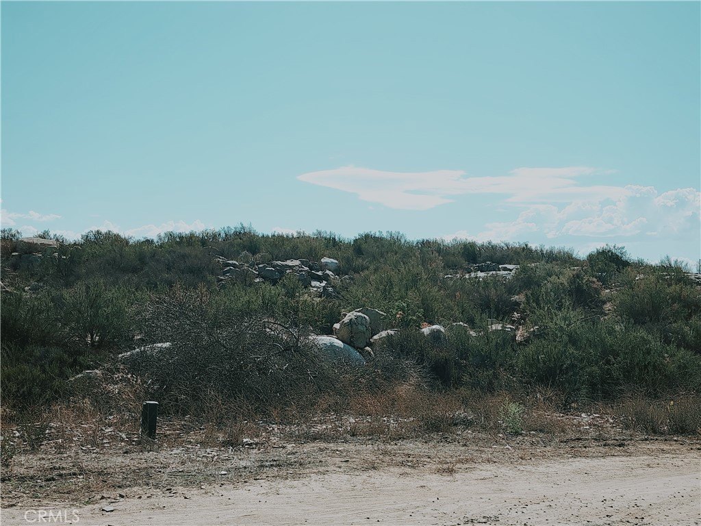 Picture 5