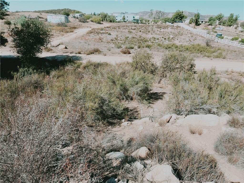 Picture 8