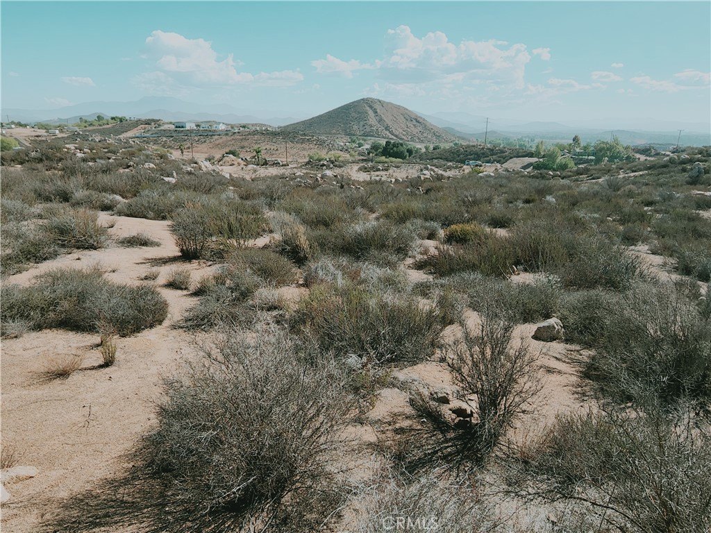 Picture 18