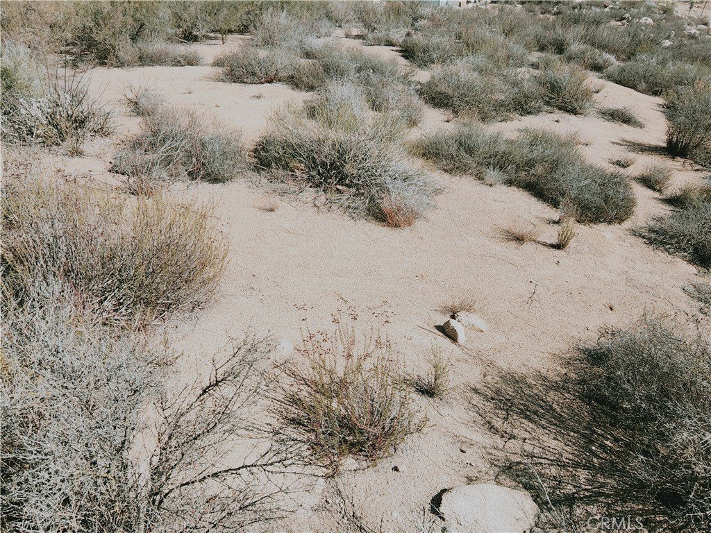 Picture 22