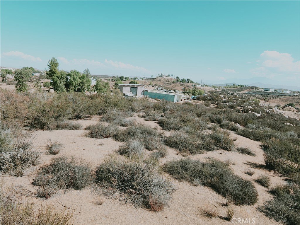 Picture 21