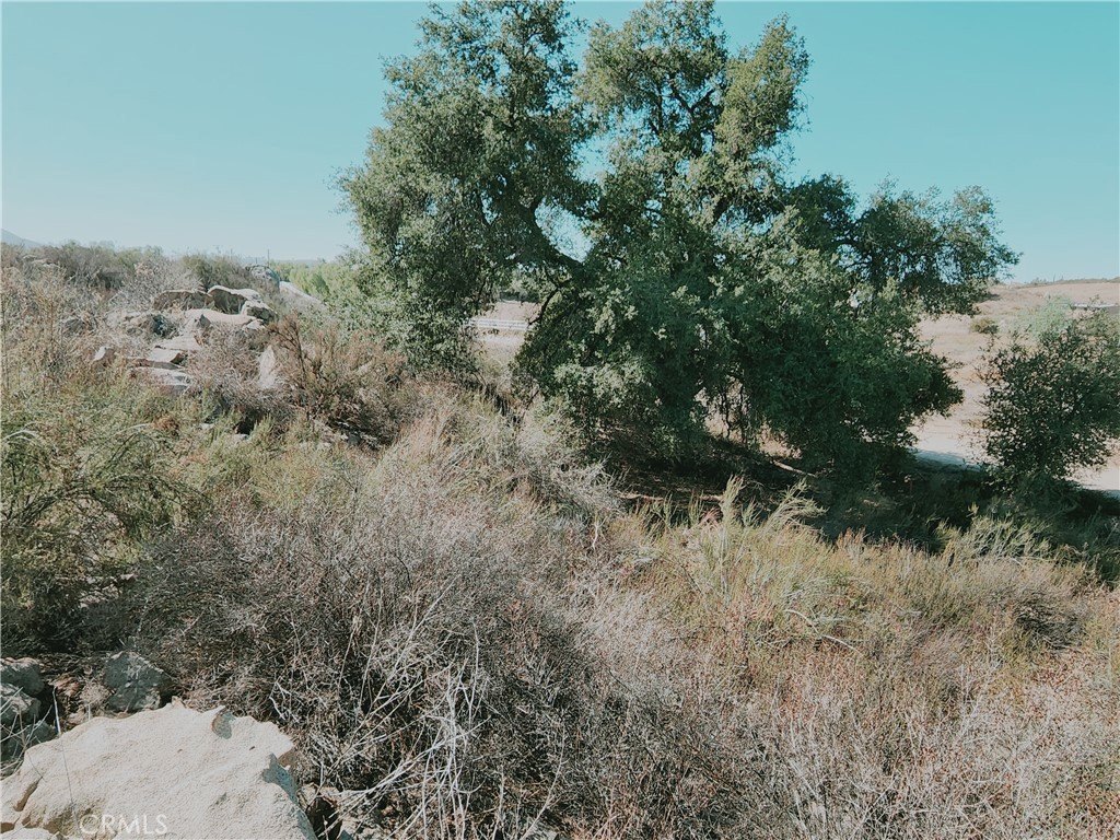 Picture 7