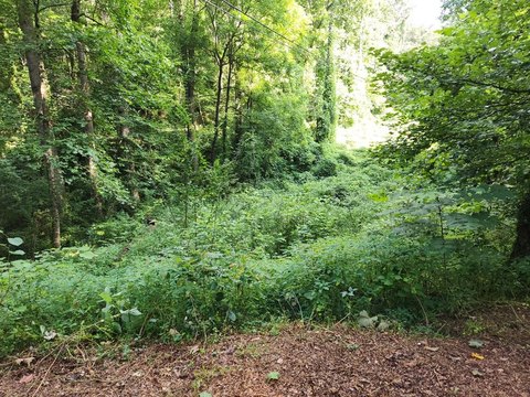 Franklin, NC Land Parcel