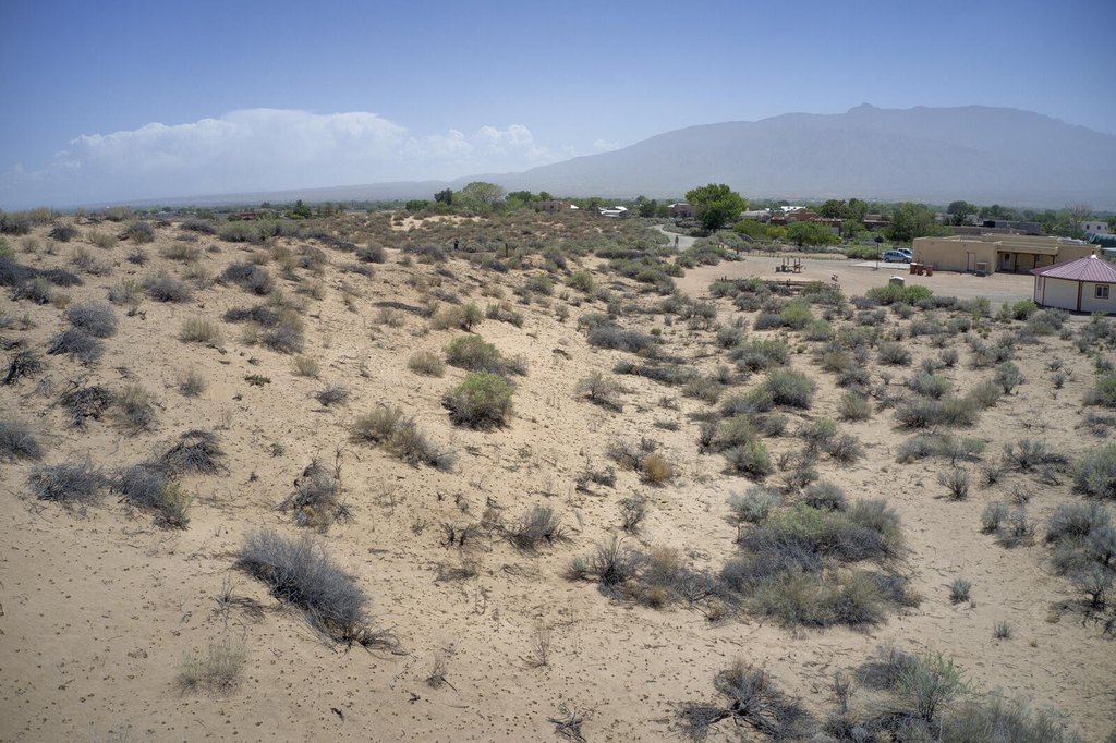 Picture 23