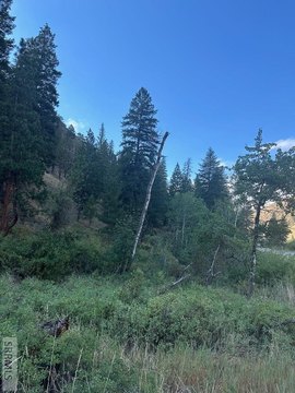 Land Near Salmon River