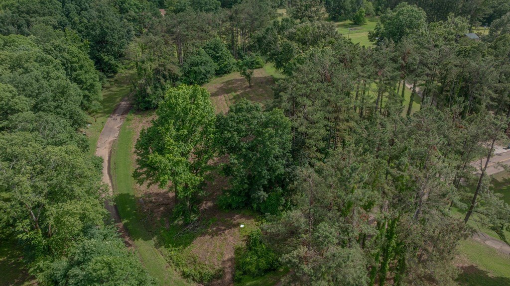 Picture 6
