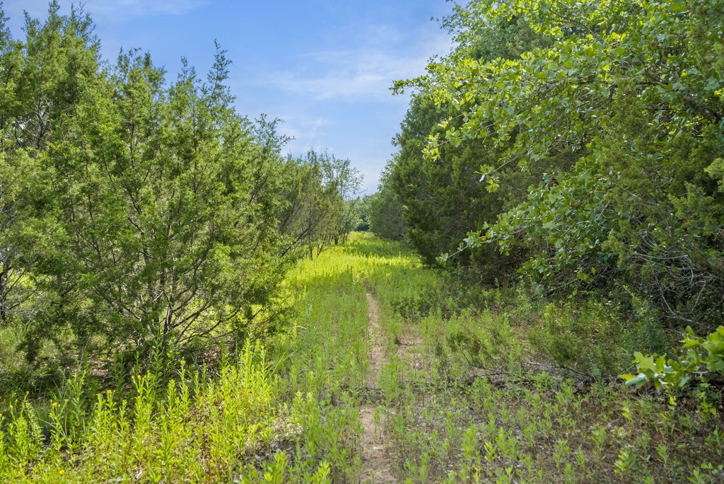 Picture 7